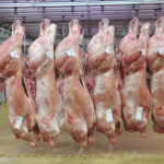 Zustände in der Fleischindustrie: Werkverträge oder illegale Arbeitnehmerüberlassung? Indusdtrielle-Fleisch-Produktion_GSA-Fleisch